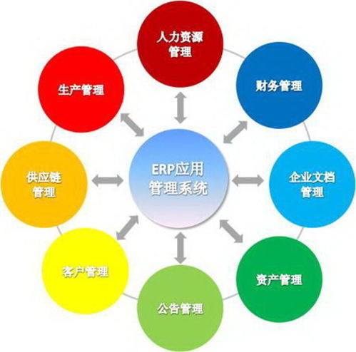 上海企業(yè)軟件開發(fā) 機(jī)遇、挑戰(zhàn)與發(fā)展趨勢